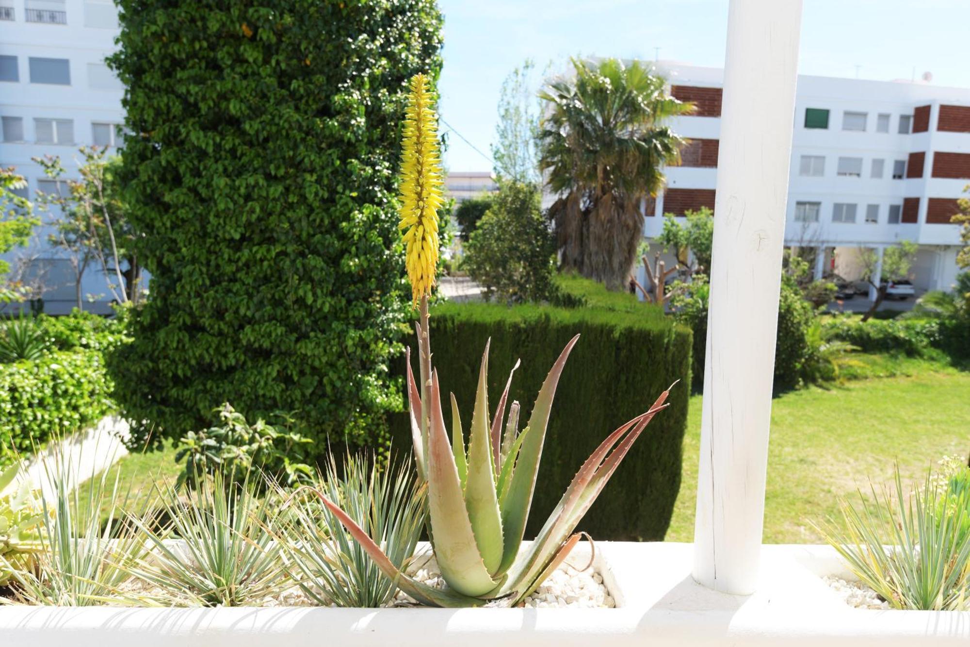 Stories Javea - Cosy Boho Apartment El Arenal - Toplocation - 250M From The Beach! Luaran gambar